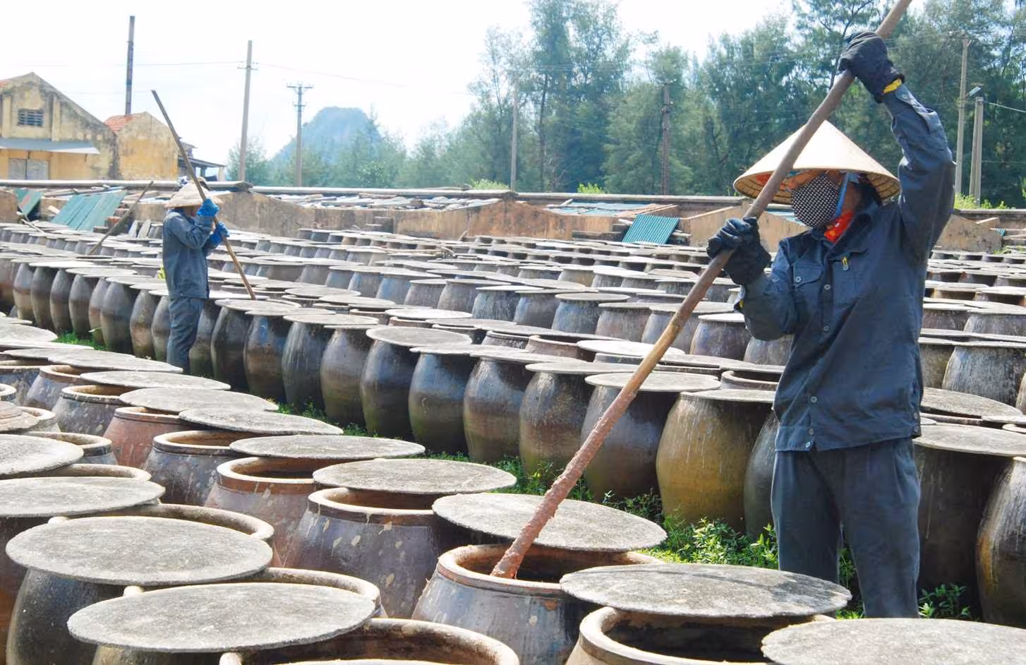 Nước mắm Cái Rồng Vân Đồn: Tinh túy từ biển khơi Quảng Ninh
