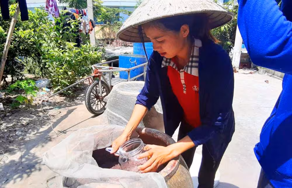 Mắm tép Ngọc Vừng: Hương vị biển khơi giữa lòng Vân Đồn