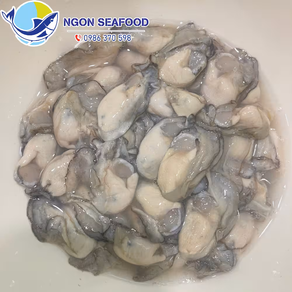 Hàu sữa Vân Đồn: Đặc sản Quảng Ninh trứ danh và kinh nghiệm thưởng thức chuẩn vị
